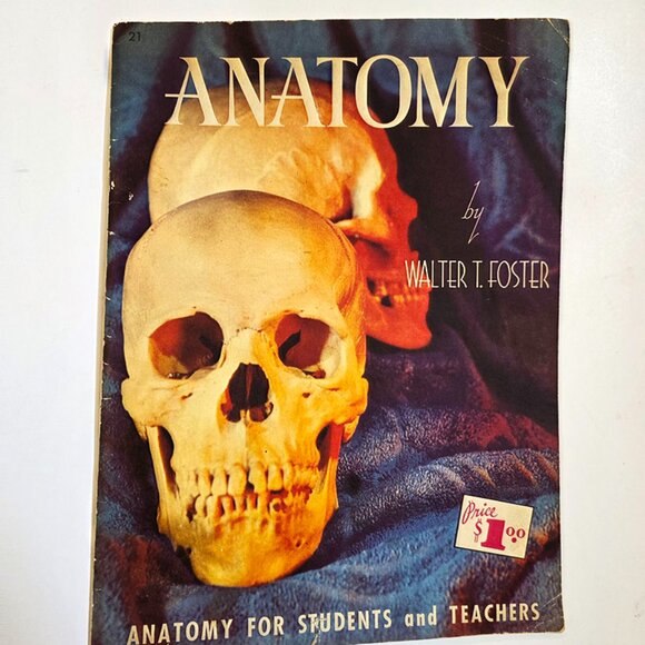 Anatomy by Walter T Foster: Anatomy for Teachers and Students - Picture 1 of 10